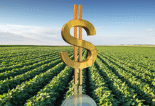 Tese inédita no Direito do Agronegócio surge como alternativa ao endividamento rural