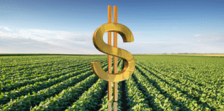 Tese inédita no Direito do Agronegócio surge como alternativa ao endividamento rural