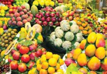 Conexão Abisolo – Como os bioinsumos podem aumentar a competitividade das frutas brasileiras no mercado internacional