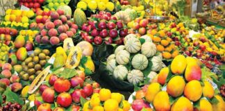 Conexão Abisolo – Como os bioinsumos podem aumentar a competitividade das frutas brasileiras no mercado internacional