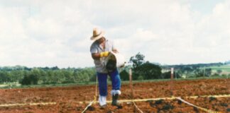 Conexão Abisolo: Pesquisador mostra avanços no uso agrícola do lodo de esgoto