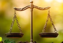 Conexão Abisolo discute a recuperação judicial no agronegócio