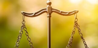 Conexão Abisolo discute a recuperação judicial no agronegócio