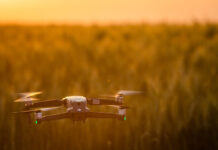 Confira 7 dicas de especialista para garantir bons resultados com a operação de drones nas lavouras