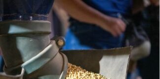 COP30 – Imaflora foca em financiamento, adaptação, agropecuária, sistemas agroalimentares e sociobiodiversidade