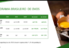 Ovos: Brasil bate recorde na produção de ovos e conquista marca histórica