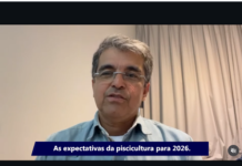 Peixe BR: perspectivas da psicultura para 2026