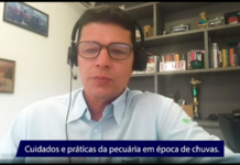 Pastagens: cuidados durante a época de chuvas (1)