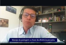 Pastagens: cuidados durante a época de chuvas (2)