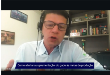 Pastagens: cuidados durante a época de chuvas (3)