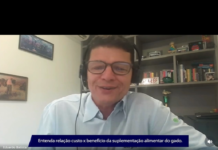 Pastagens: cuidados durante a época de chuvas (5)