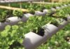 Uso do PVC contribui para sustentabilidade e produtividade no campo, com múltiplas aplicações