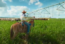Agrishow 2026 – Estande Valley mirou irrigante que busca tecnologia sem estourar o investimento