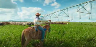 Agrishow 2026 – Estande Valley mirou irrigante que busca tecnologia sem estourar o investimento