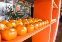 Expocitros mostra setor em momento de domínio do mercado global