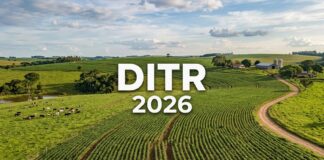 Prazo da DITR 2026 termina em 30 de setembro e os valores declarados acompanham o imóvel rural por muitos anos